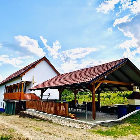 Mutěnice Vinny Sklep U Mna المظهر الخارجي الصورة